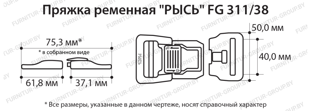 рысь.jpeg